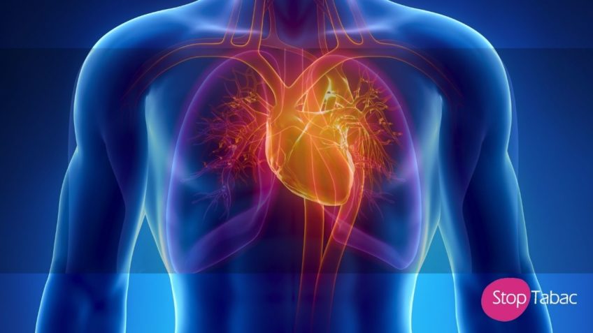 Gérer son stress par la cohérence cardiaque